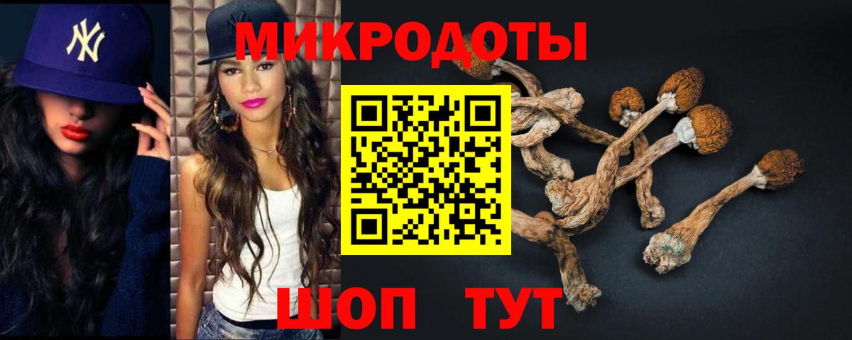 Братск  Галлюциногенные грибы мухоморы  Вход с VPN  Псилоцибиновые грибы прущие грибы 
